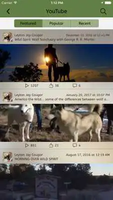 Play Wolf Daddy Play Wolf Daddy