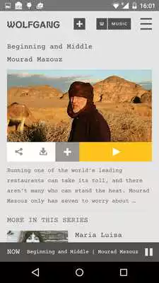 Play Wolfgang