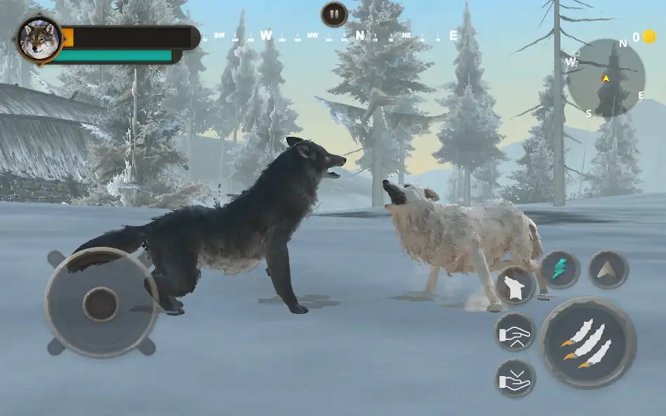 Play Wolf Hunting Wild Jungle games  and enjoy Wolf Hunting Wild Jungle games with UptoPlay