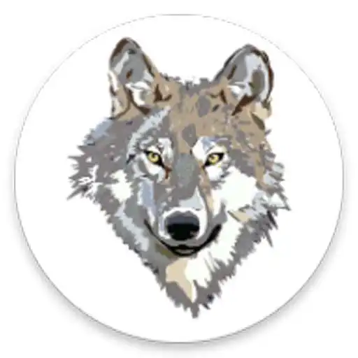 Play Wolf Images APK Play Wolf Images APK