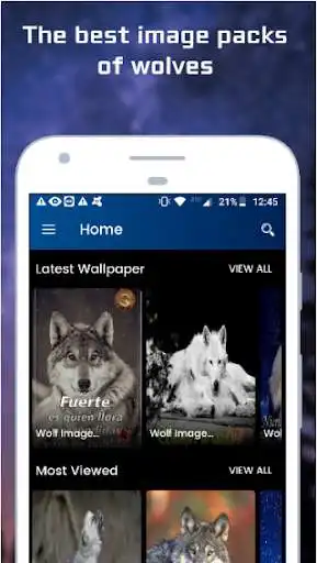 Play Wolf Images  and enjoy Wolf Images with UptoPlay