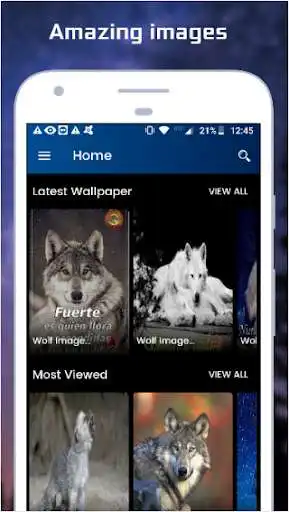 Play Wolf Images as an online game Wolf Images with UptoPlay