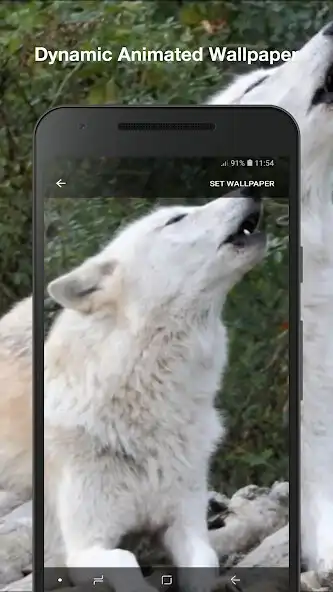 Play Wolf Live Wallpaper Pro as an online game Wolf Live Wallpaper Pro with UptoPlay