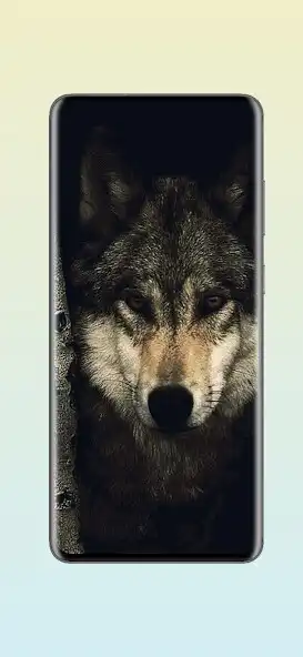 Play Wolf Live Wallpapers HD as an online game Wolf Live Wallpapers HD with UptoPlay