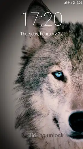 Play Wolf Pattern Lock Screen  and enjoy Wolf Pattern Lock Screen with UptoPlay