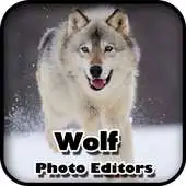 Free play online Wolf Photo Editors APK