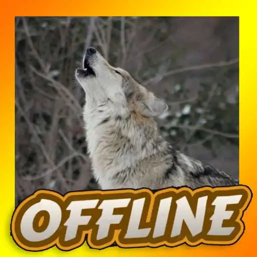 Play Wolf Sounds App APK Play Wolf Sounds App APK