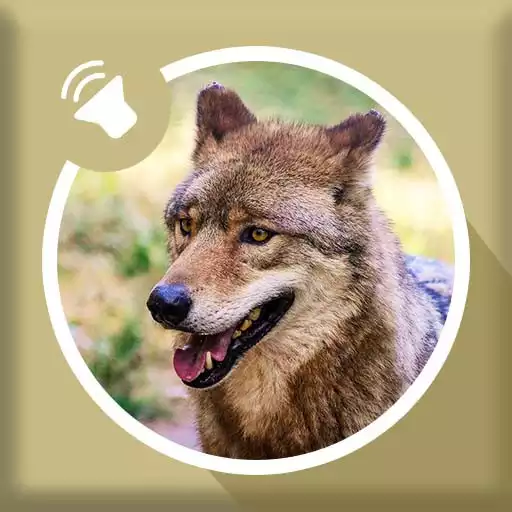 Free play online Wolf Sounds APK Free play online Wolf Sounds APK