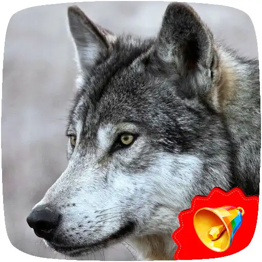 Play Wolf Sounds APK Play Wolf Sounds APK