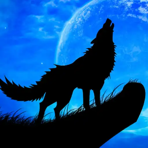Play Wolf Sounds-videos-wallpaper APK Play Wolf Sounds-videos-wallpaper APK