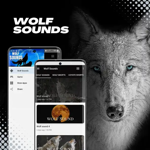 Play Wolf Sounds-videos-wallpaper  and enjoy Wolf Sounds-videos-wallpaper with UptoPlay