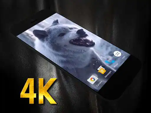 Play Wolf Video Live Wallpaper  and enjoy Wolf Video Live Wallpaper with UptoPlay
