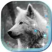 Free play online Wolf Voice HD live wallpaper APK
