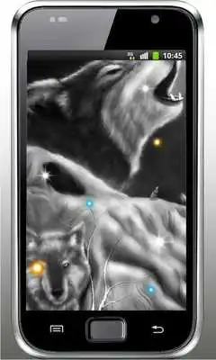 Play Wolf Voice HD live wallpaper Play Wolf Voice HD live wallpaper