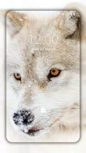 Play Wolf Wallpaper HD : backgrounds  themes  and enjoy Wolf Wallpaper HD : backgrounds  themes with UptoPlay
