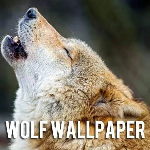 Play Wolf Wallpaper APK Play Wolf Wallpaper APK