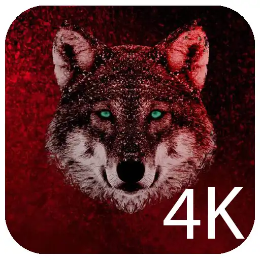 Play Wolf Wallpapers 4K Background APK Play Wolf Wallpapers 4K Background APK