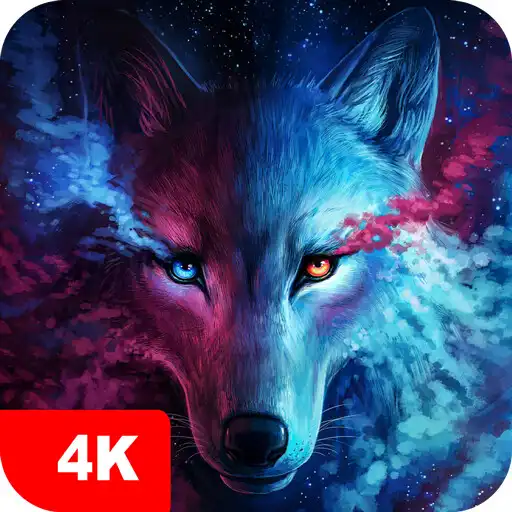 Play Wolf Wallpapers 4K APK