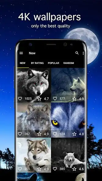 Play Wolf Wallpapers 4K  and enjoy Wolf Wallpapers 4K with UptoPlay