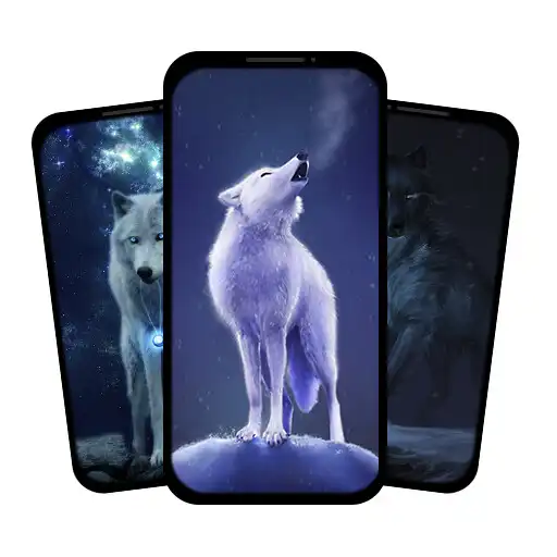 Play Wolf Wallpapers HD 4k APK Play Wolf Wallpapers HD 4k APK
