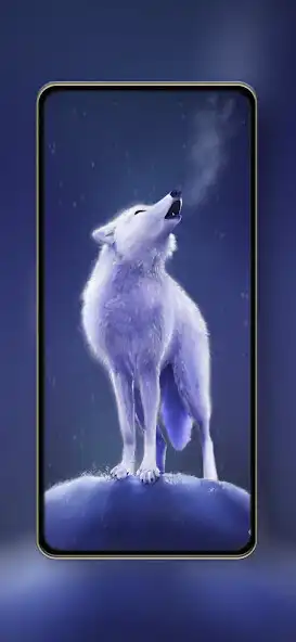Play Wolf Wallpapers HD 4k  and enjoy Wolf Wallpapers HD 4k with UptoPlay