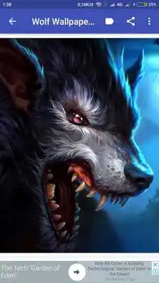 Play Wolf Wallpapers HD