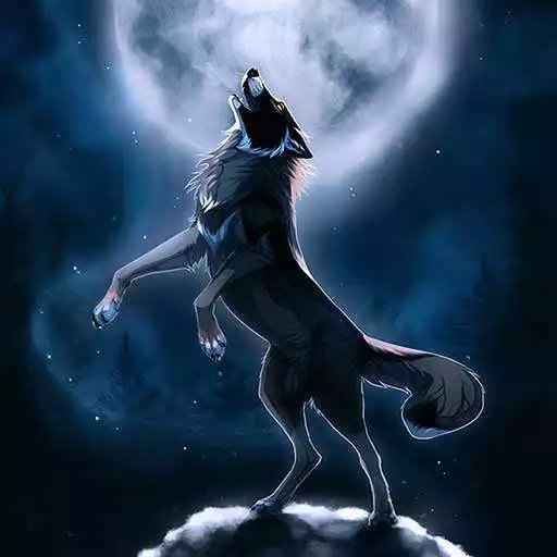 Play Wolf Wallpapers Offline APK Play Wolf Wallpapers Offline APK