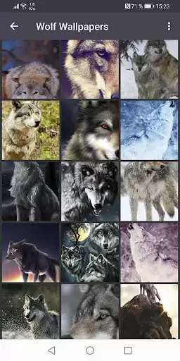 Play Wolf Wallpapers  and enjoy Wolf Wallpapers with UptoPlay