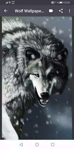 Play Wolf Wallpapers as an online game Wolf Wallpapers with UptoPlay