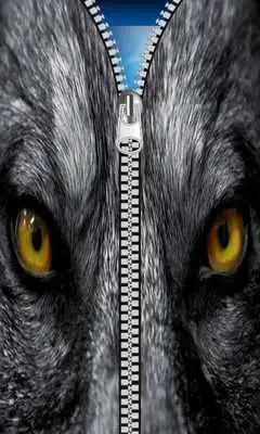 Play Wolf Zipper Screen lock