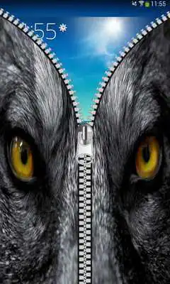 Play Wolf Zipper Screen lock