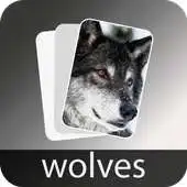Free play online Wolves HD Wallpapers APK Free play online Wolves HD Wallpapers APK