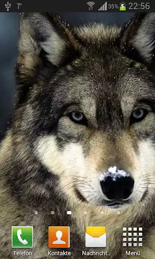 Play Wolves Live Wallpaper