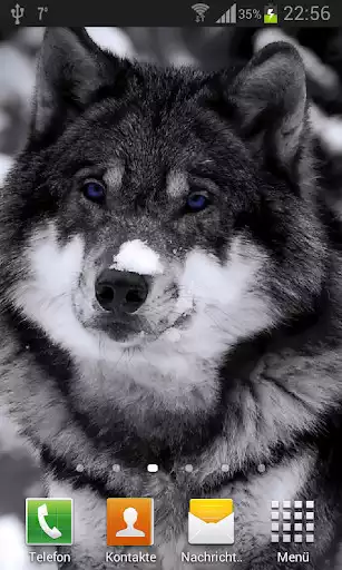 Play Wolves Live Wallpaper