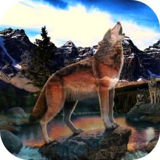 Play Wolves. Predators Wallpapers APK Play Wolves. Predators Wallpapers APK