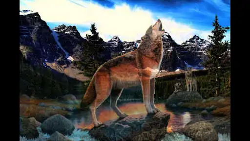 Play Wolves. Predators Wallpapers  and enjoy Wolves. Predators Wallpapers with UptoPlay