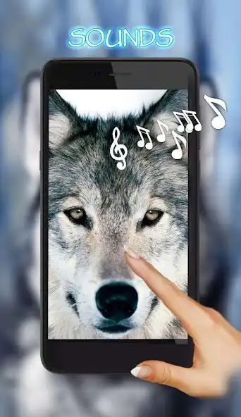 Play Wolves Sounds Live Wallpaper  and enjoy Wolves Sounds Live Wallpaper with UptoPlay
