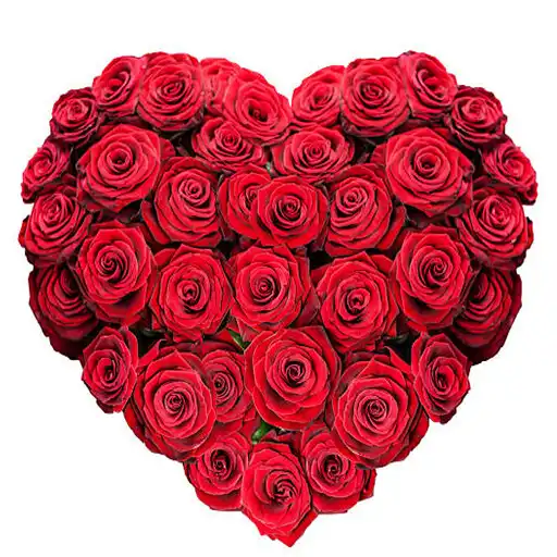 Play Wonderful flower bouquets 2022 APK