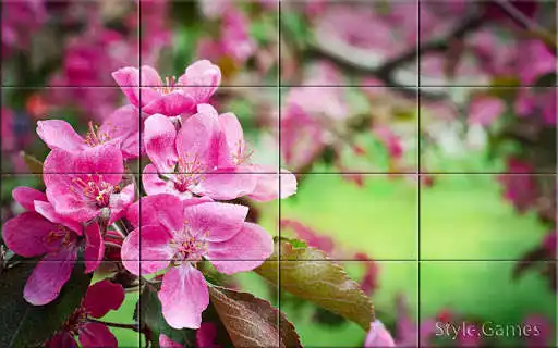 Play Wonderful Flowers Puzzle as an online game Wonderful Flowers Puzzle with UptoPlay