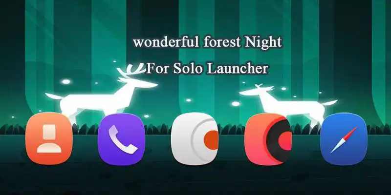 Play Wonderful Forest Night Play Wonderful Forest Night