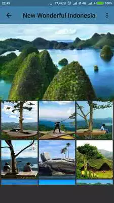 Play Wonderful Indonesian Wallpaper