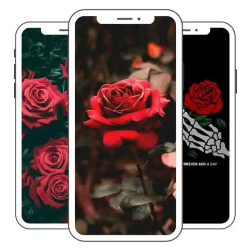 Play wonderful roses wallpapers APK Play wonderful roses wallpapers APK