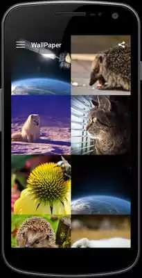 Play Wonderful Wallpaper Play Wonderful Wallpaper