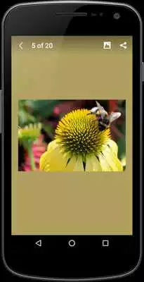 Play Wonderful Wallpaper Play Wonderful Wallpaper