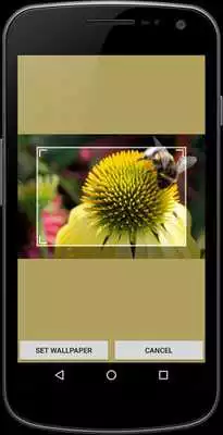 Play Wonderful Wallpaper Play Wonderful Wallpaper