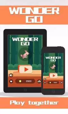Play Wonder Go Play Wonder Go