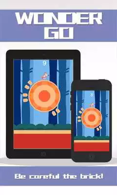 Play Wonder Go Play Wonder Go