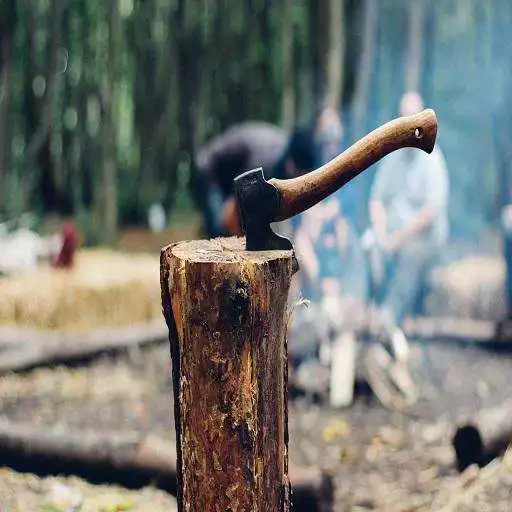 Free play online Wood Chopping Sound APK