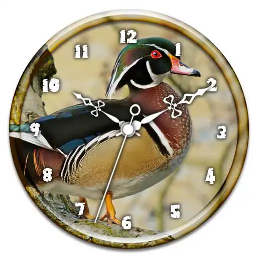 Free play online Wood Duck Clock Live Wallpaper APK Free play online Wood Duck Clock Live Wallpaper APK