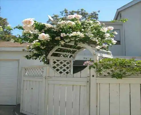 Play Wooden Garden Gates Design